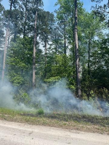 Smoke drifts up along a road edge on the Great Lakes Fire