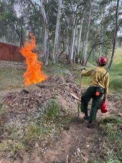 Firefighters ignite a burn pile on Del Rosa prescribed burn. 