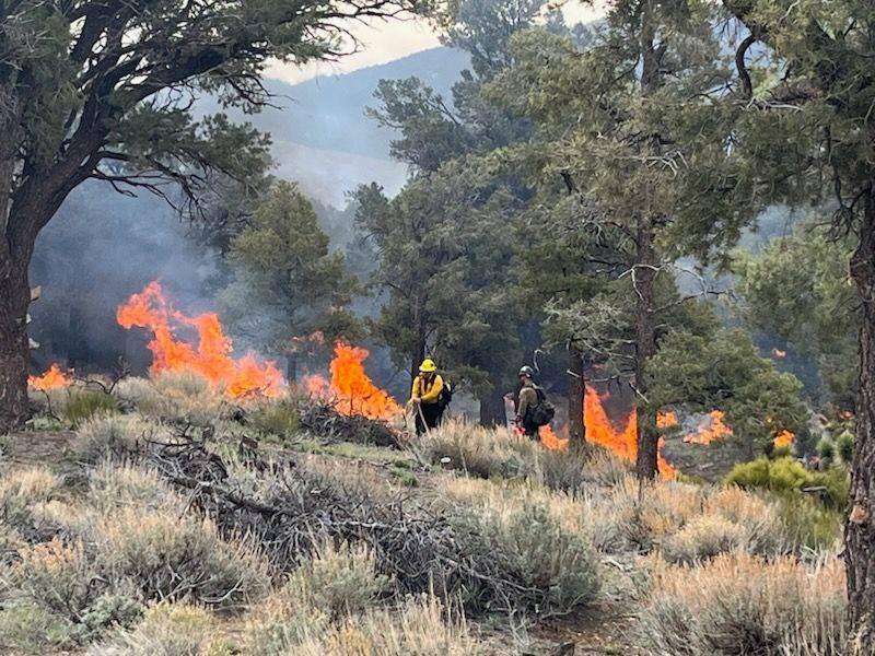 Firefighters monitor pile burns on the Baldwin Lake prescribed burn 4/12/23.