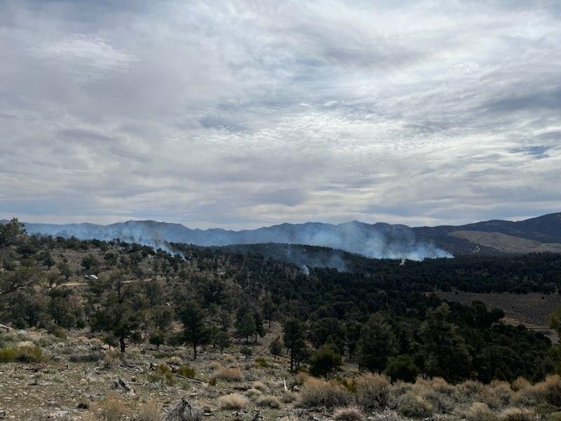 Smoke was visible from multiple pile burns on the Baldwin Lake prescribed burn 4/12/23.