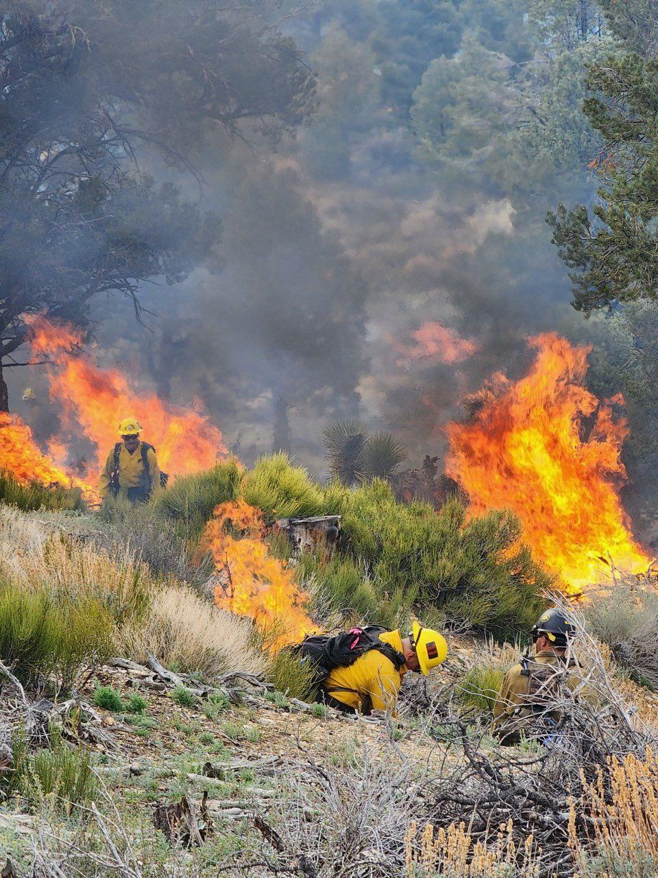Firefighters monitor pile burns on the Baldwin Lake prescribed burn on 4/13/23.