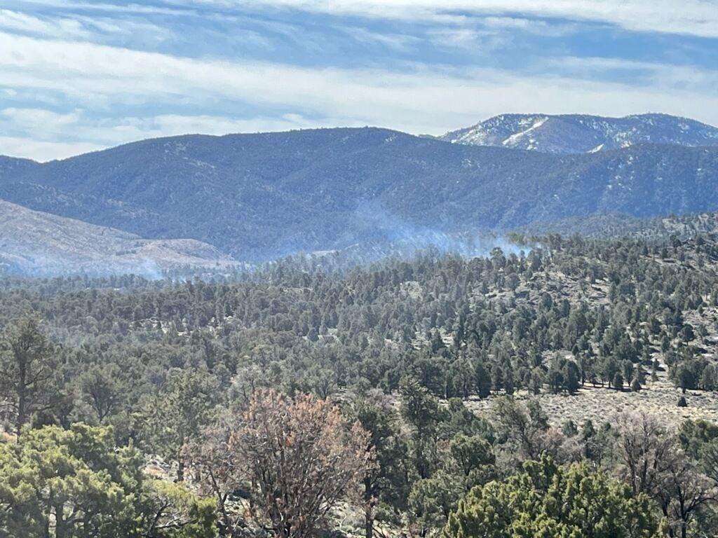 Smoke was visible from multiple piles burning on the Baldwin Lake prescribed burn on 4/13/23.