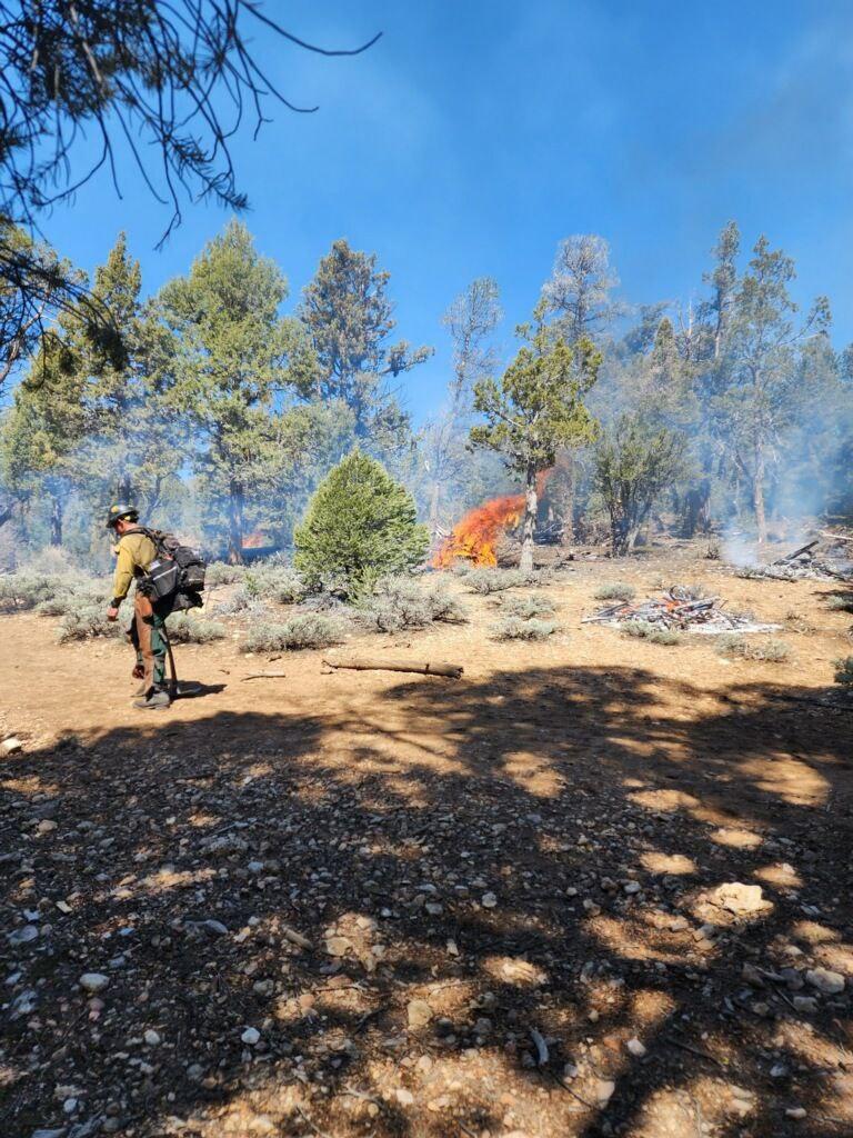 Firefighters monitor pile burns on the Fawnskin prescribed burn 4/14/23.