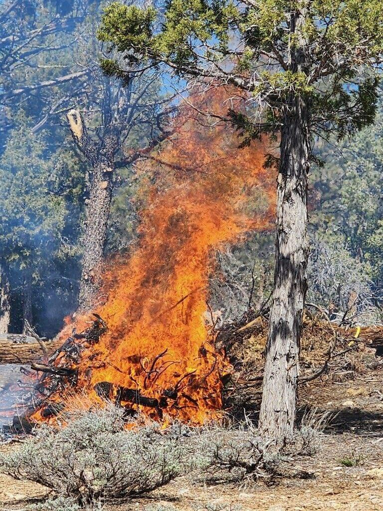 Fuels being consumed from one of the 300 piles being burned on the Fawnskin prescribed burn on 4/14/23.