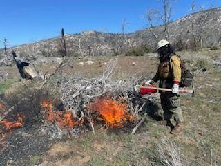 Firefighters ignite a pile burn on the Cranston Reforestation prescribed burn 4/18/23.