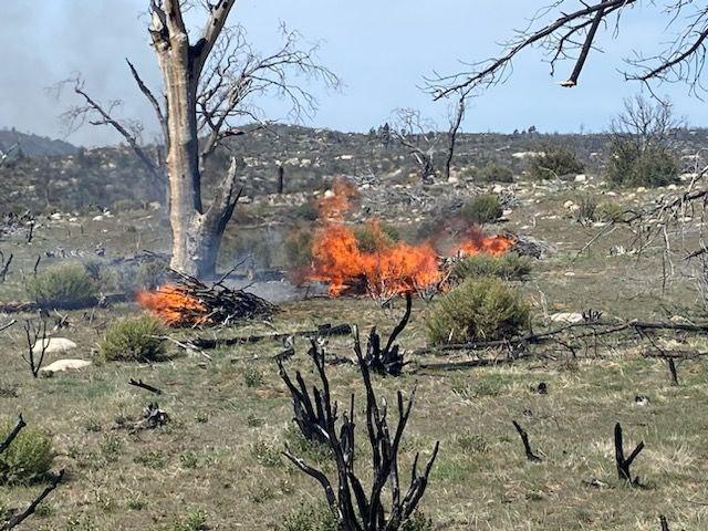 Fuels being consumed from one of the piles being burned on the Cranston Reforestation prescribed burn on 4/18/23.