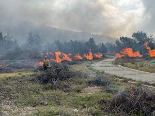 Firefighters monitor burn piles as fuels are being consumed on the City Creek prescribed burn on 4/18/23.