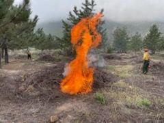 Firefighters monitors a burn pile on the City Creek prescribed burn on 4/18/23.