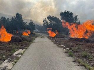 Fuels being consumed from one of the piles being burned on the City Creek prescribed burn on 4/18/23.