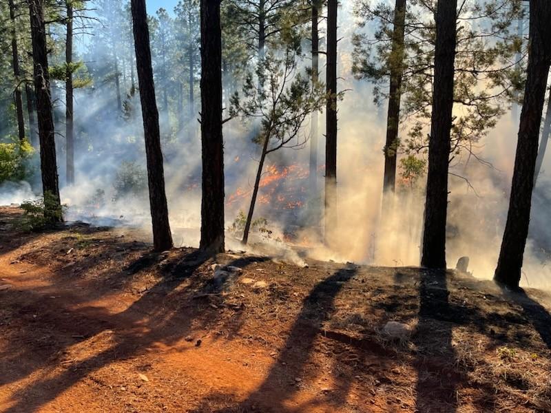Mountainair Ranger District – Chato Prescribe Fire - Photo on 5/29/23