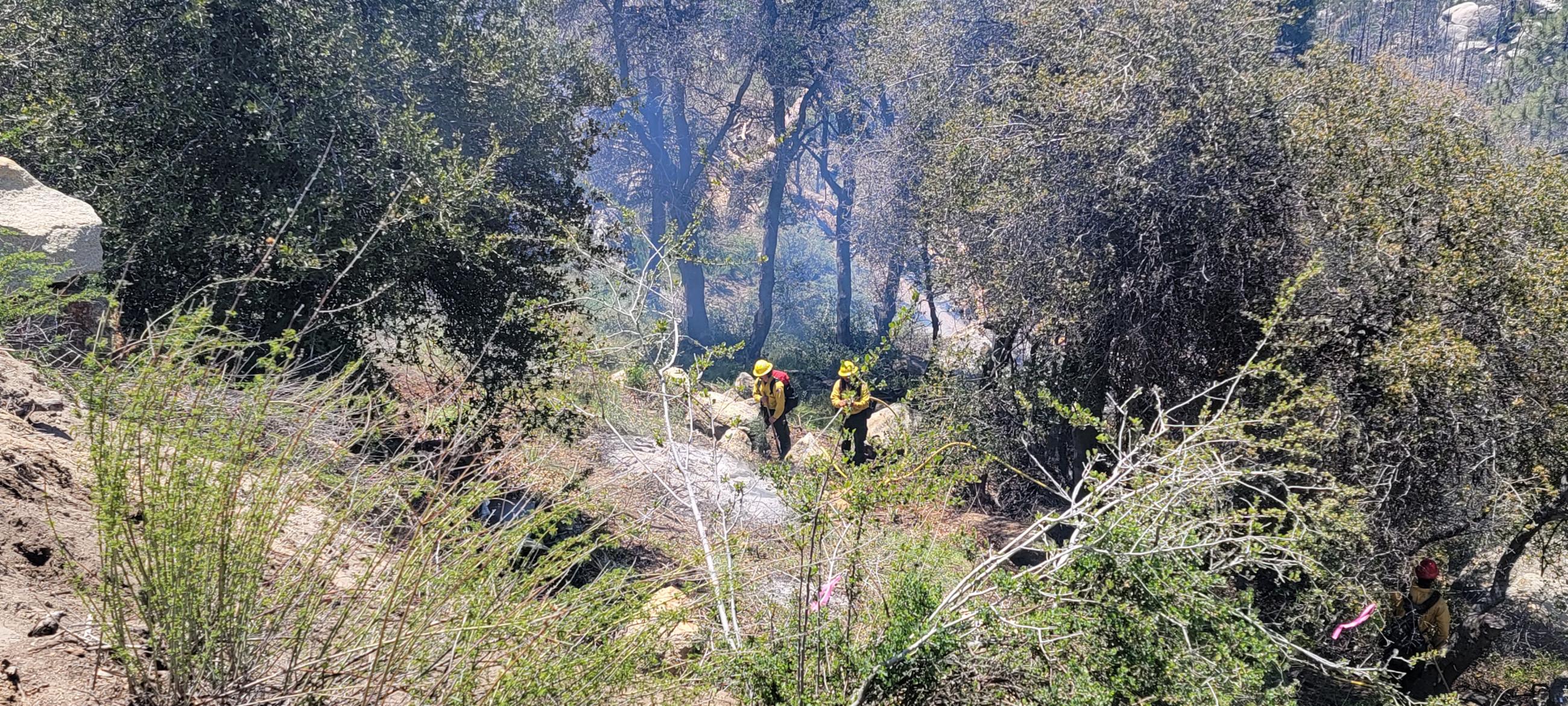 Firefighter monitor burn piles on the Cranston Restoration prescribed burn 5/7/23.