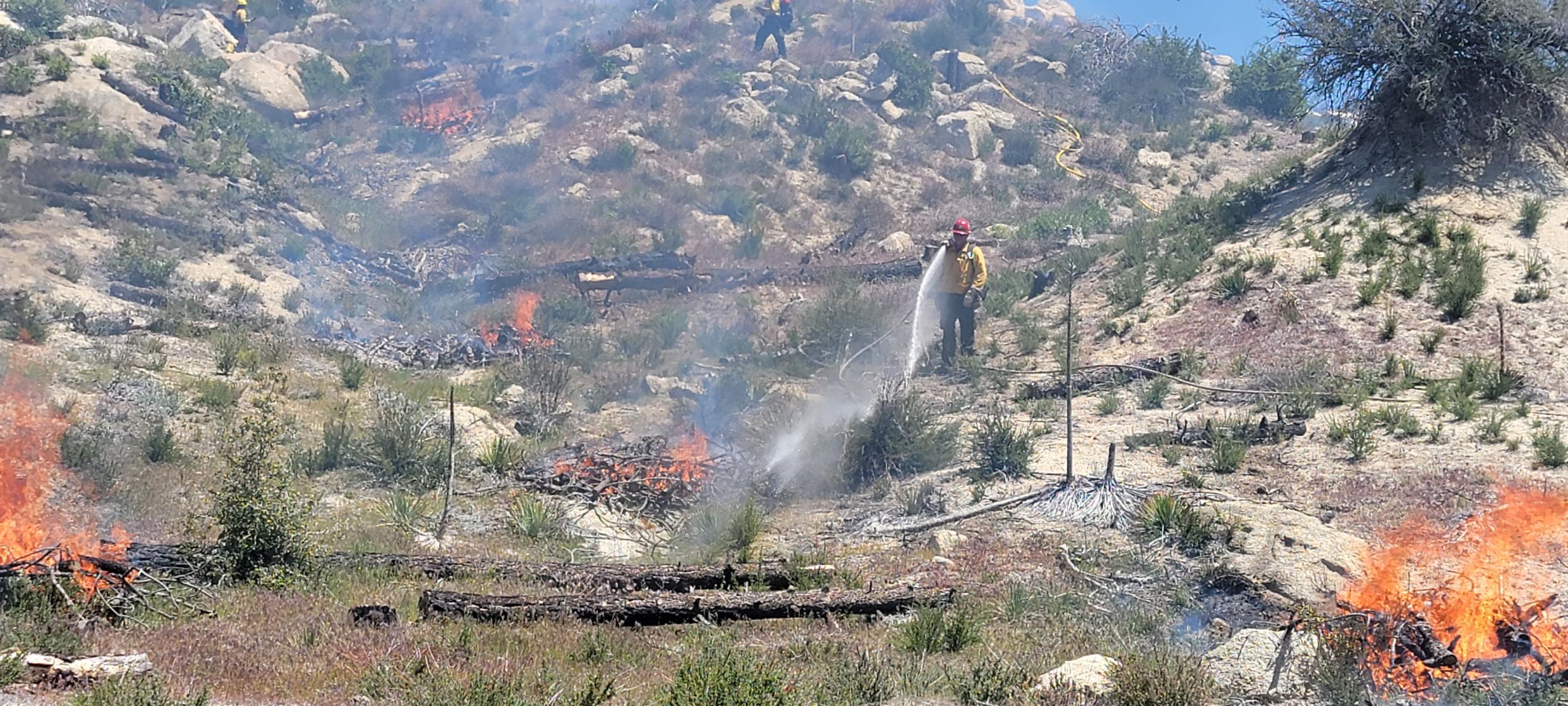 Firefighter monitor burn piles on the Cranston Restoration prescribed burn 5/8/23.