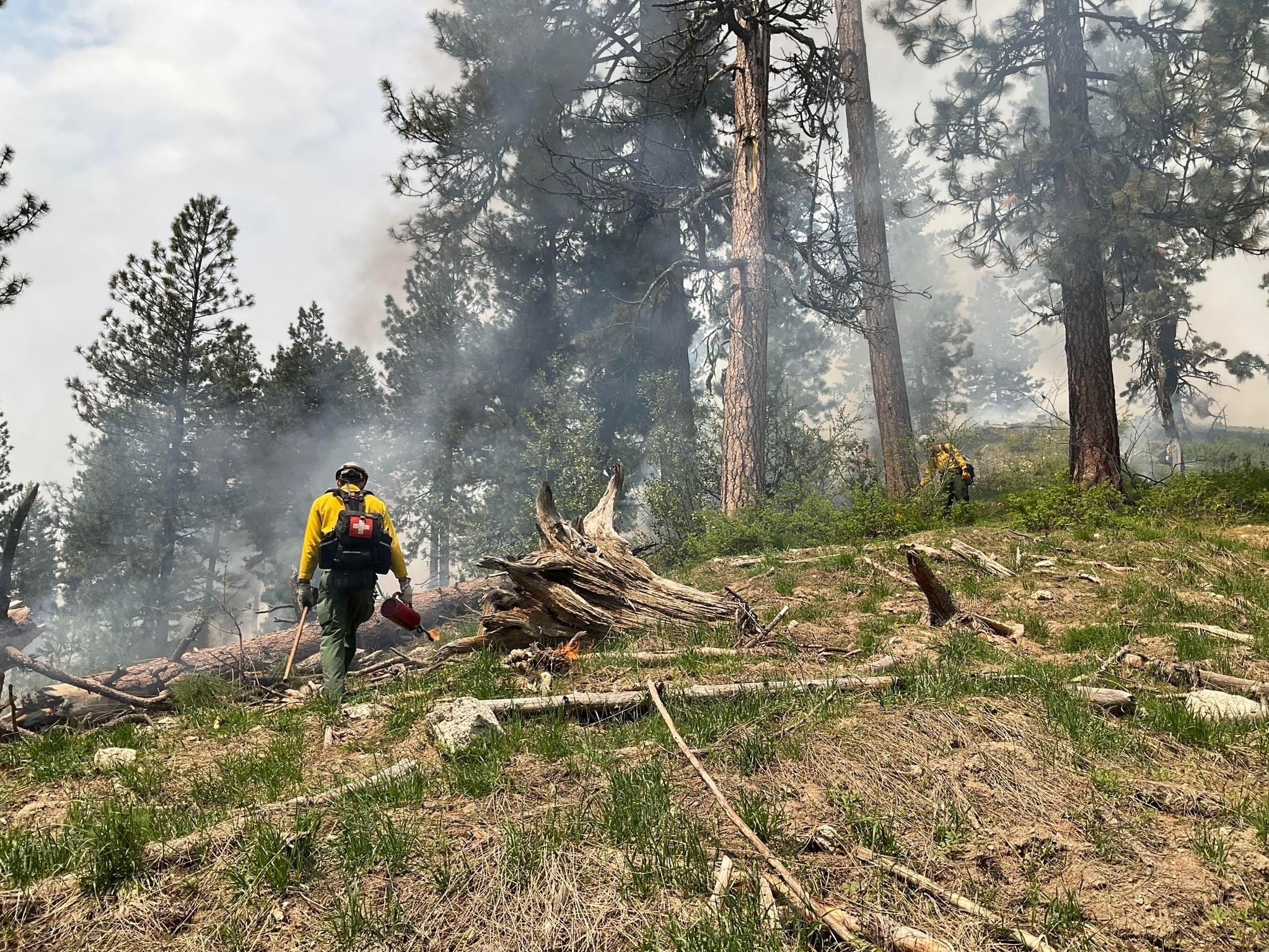 Idbof Boise National Forest Prescribed Fire Spring 2023 Incident ...