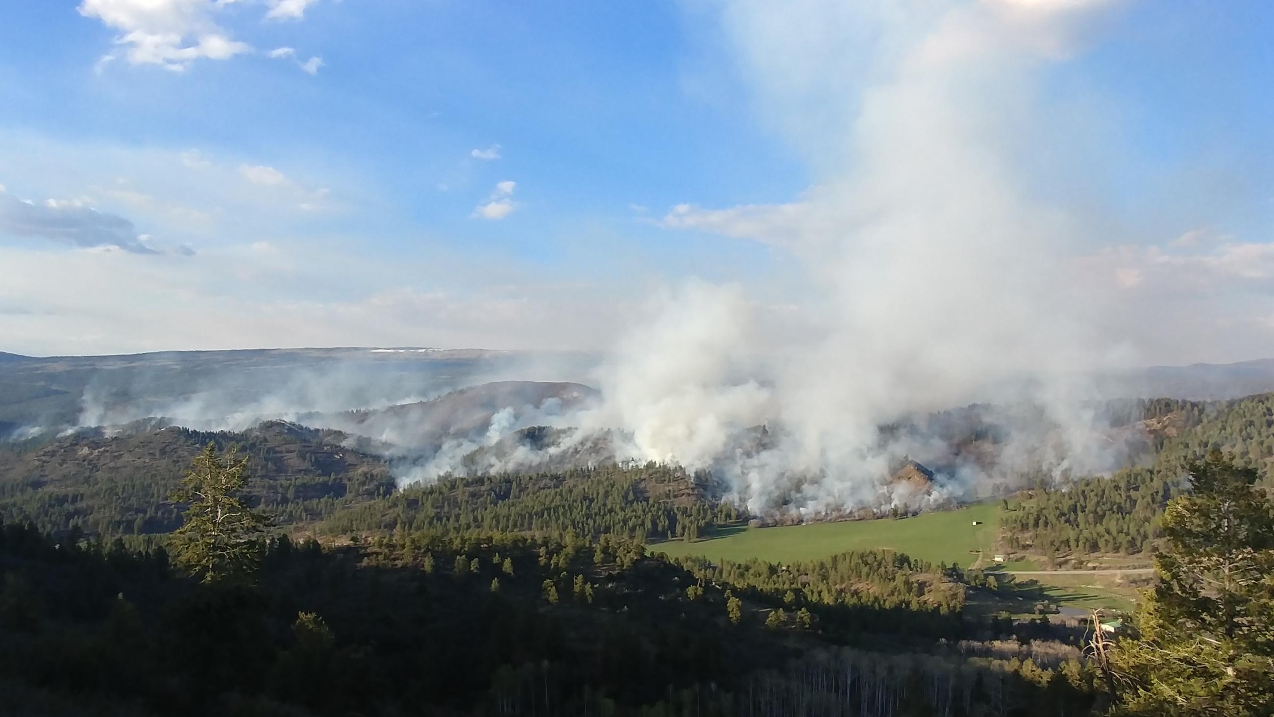 prescribed fire viewed from a distance