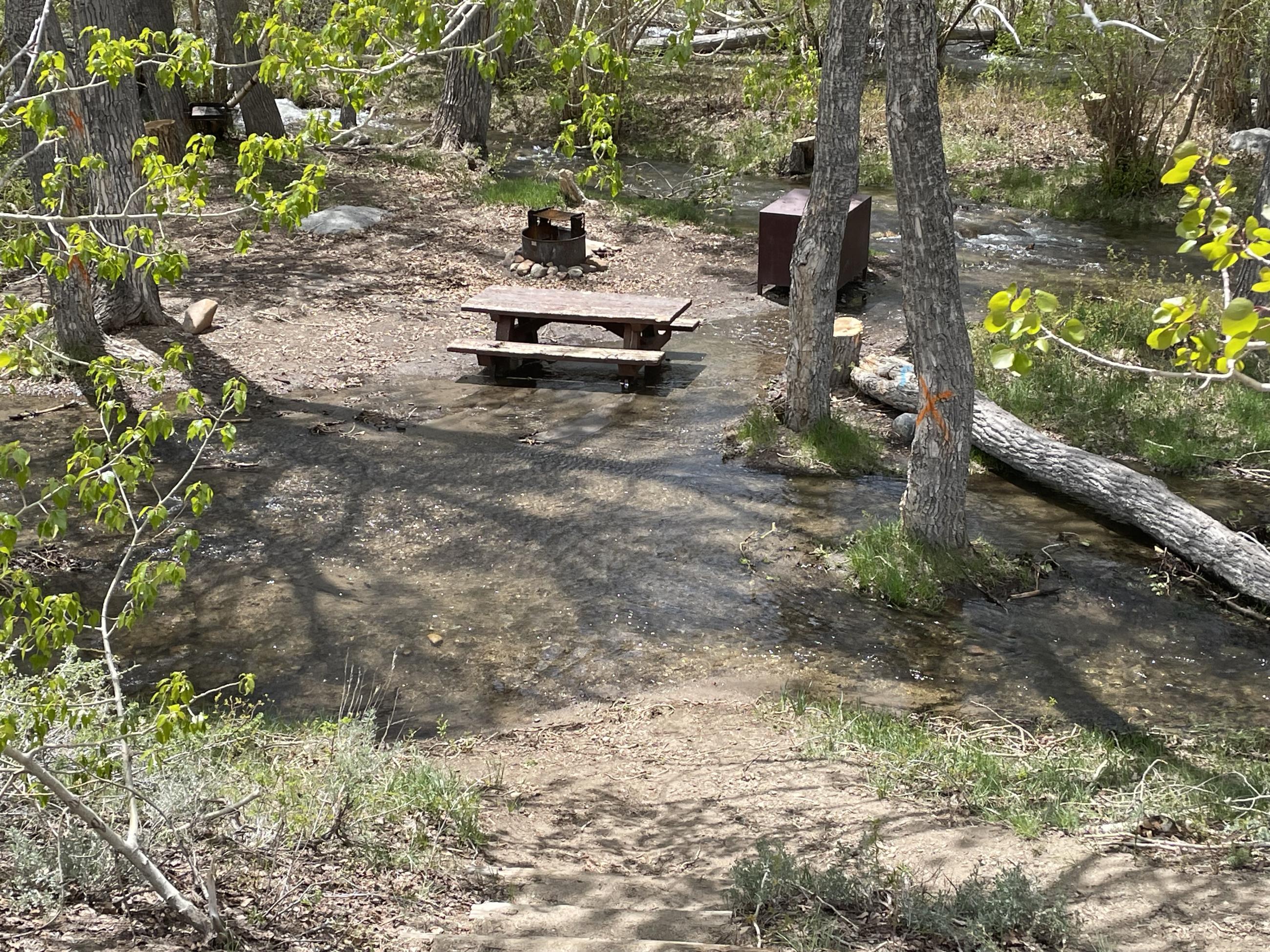 Image showing flooding at Four Jeffrey's Campground at South Fork of Bishop Creek