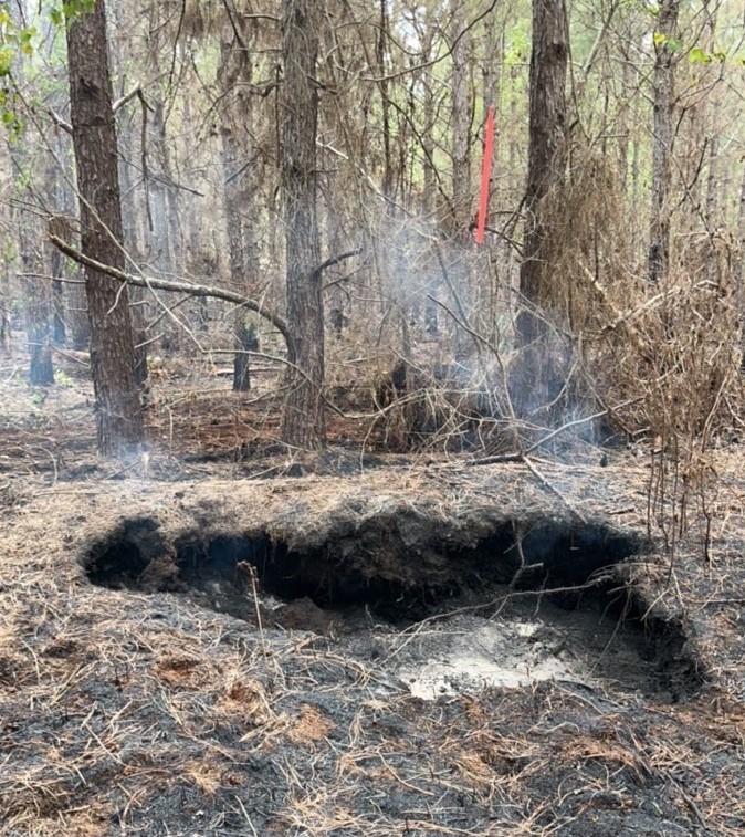Fire burning vertically into the soil, indicating ground fire is present. 