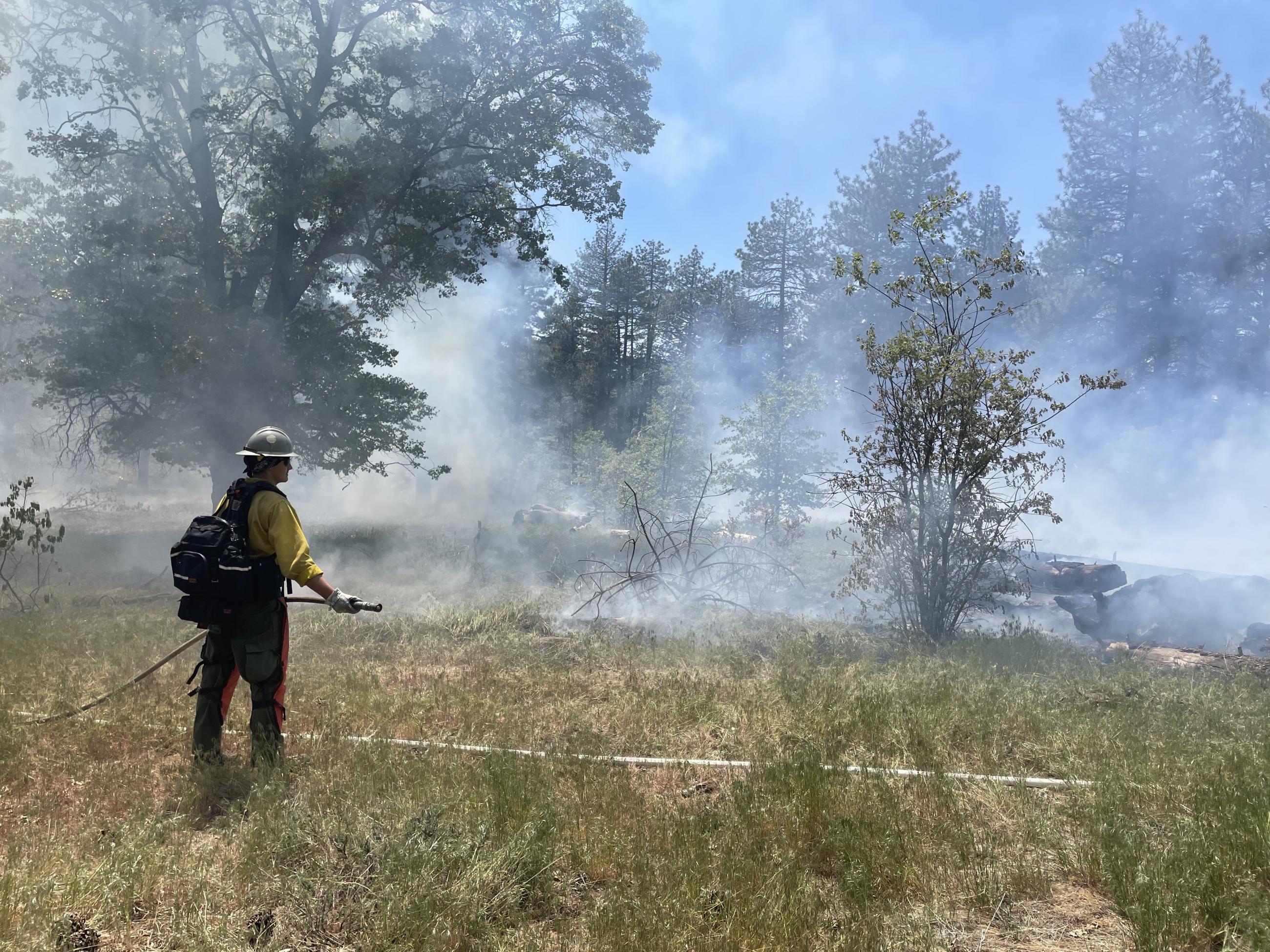 Firefighter with a hose monitoring the fire on the Mount Laguna Prescribed Burn on the Descanso Ranger District on 5/24/23.