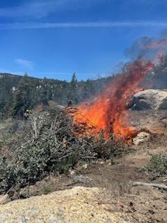 Fuels being consumed in one of the piles being burned on the Cranston Reforestation prescribed Burn 5/7/23.