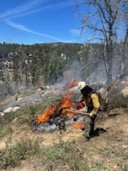 Firefighters ignite a burn pile on the Cranston Reforestation prescribed burn 5/7/23.
