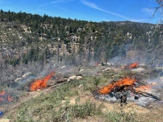 Fuels being consumed in one of the piles being burned on the Cranston Reforestation prescribed Burn 5/7/23.