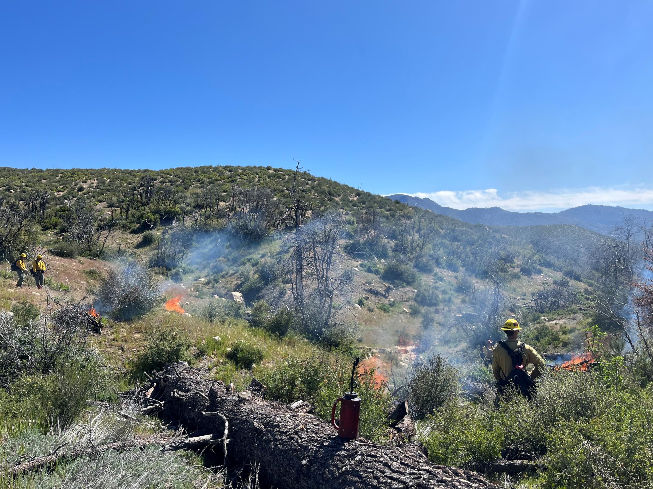 Firefighters monitor pile burns on the Cranston Reforestation prescribed burn on 5/3/23.