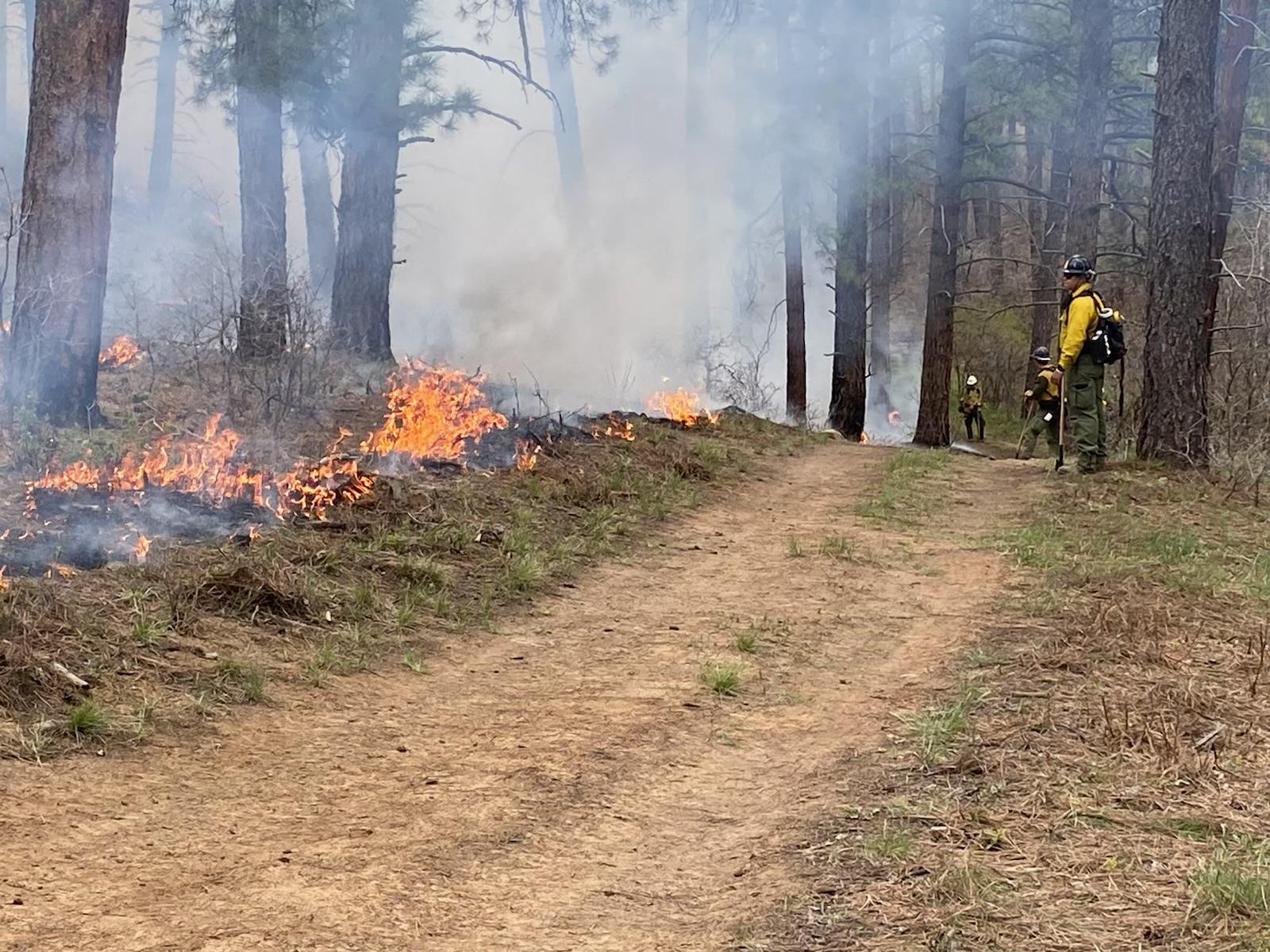 Fire burns next to roadway