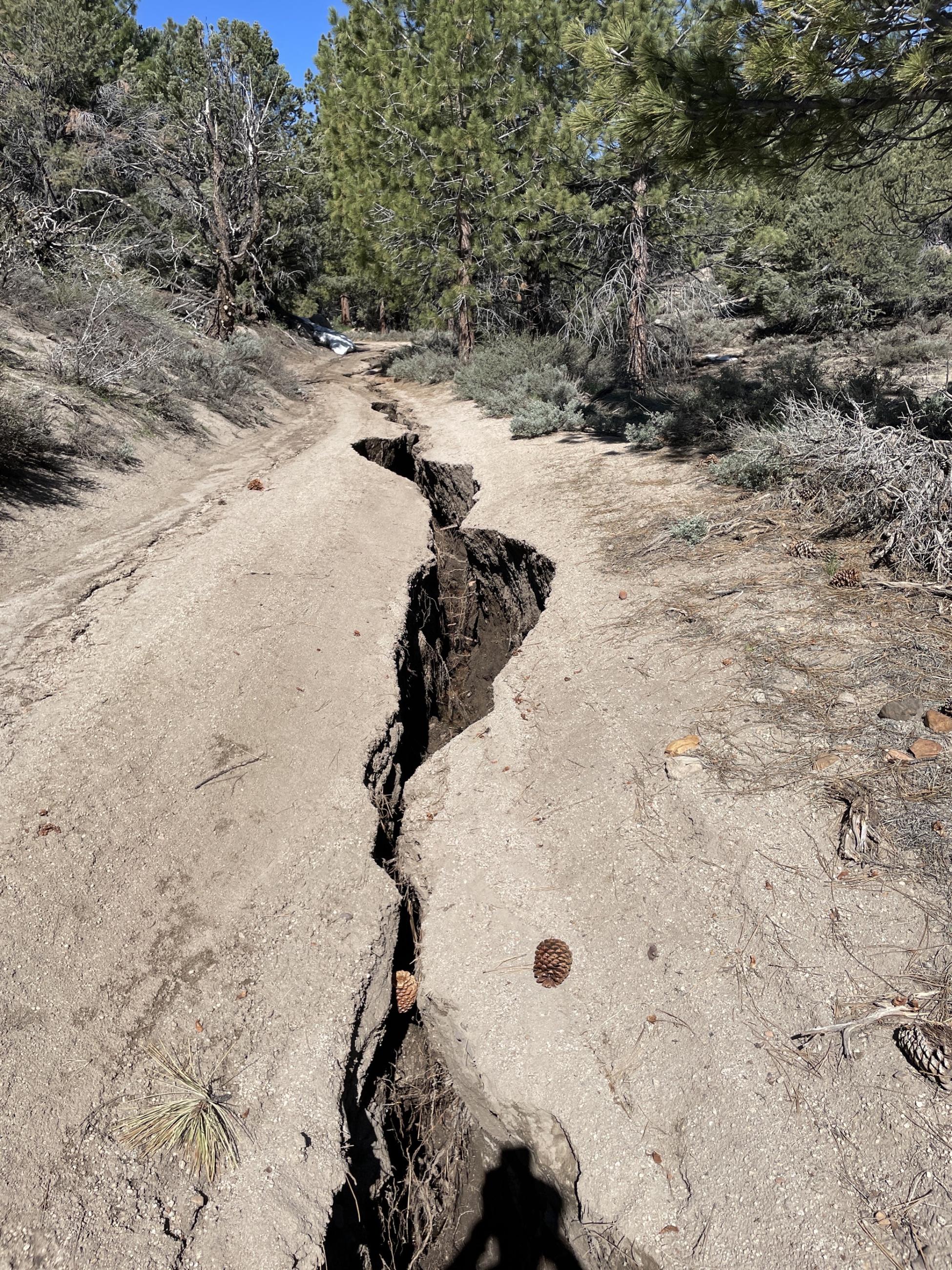 Image showing Gibbs Lake Trailhead Road Conditions Photo 10