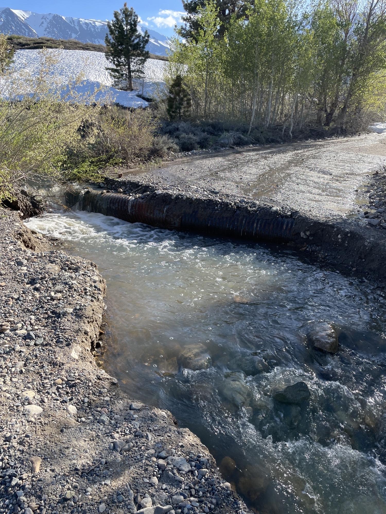 Image showing Photo 1 Parker Lake Trailhead Showing Current Road Condition