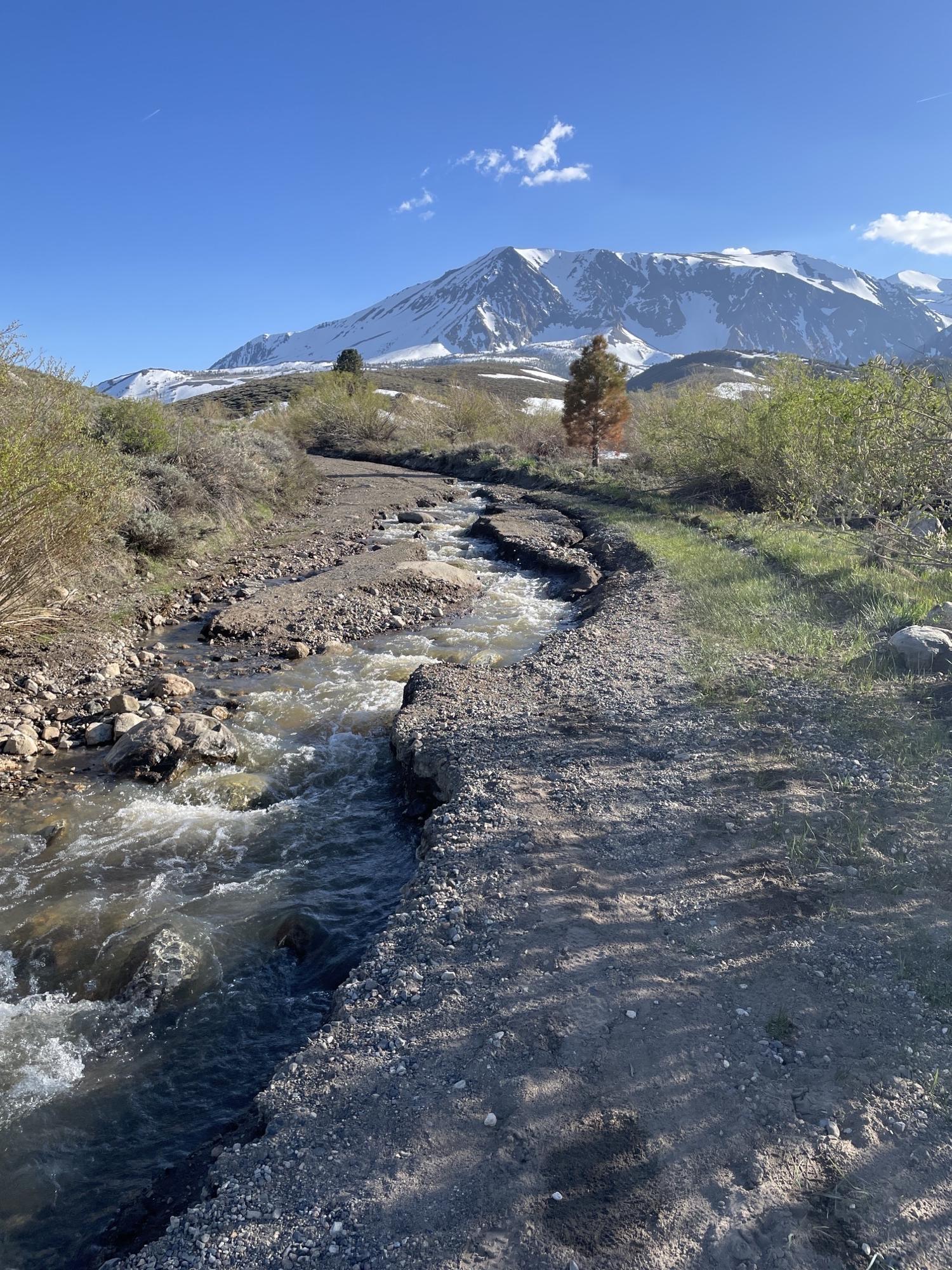 Image of Image of Parker Lake Trailhead Photo 3 Showing Current Road Condition