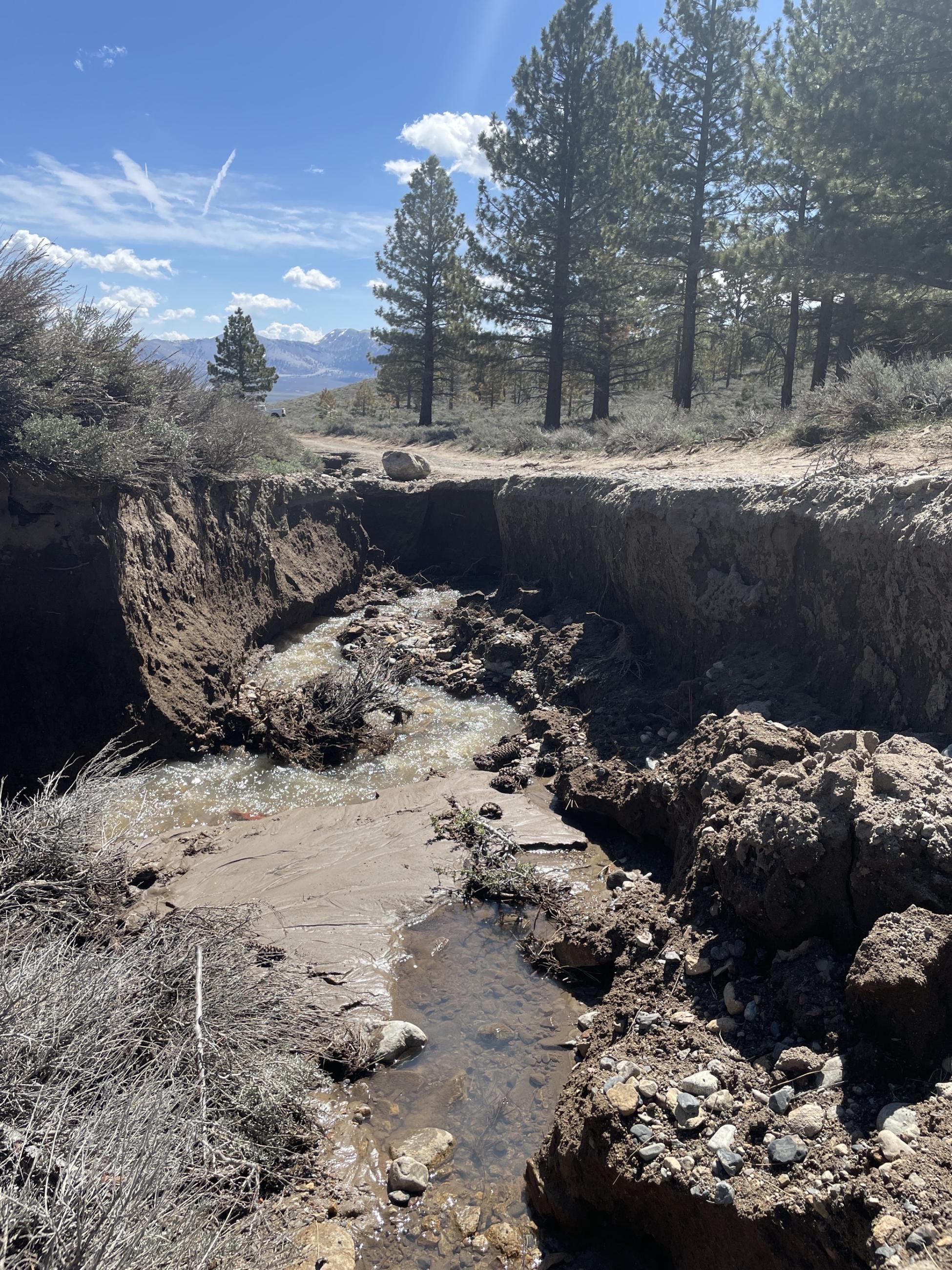 Image showing Photo 5 Sawmill Canyon Road Conditions