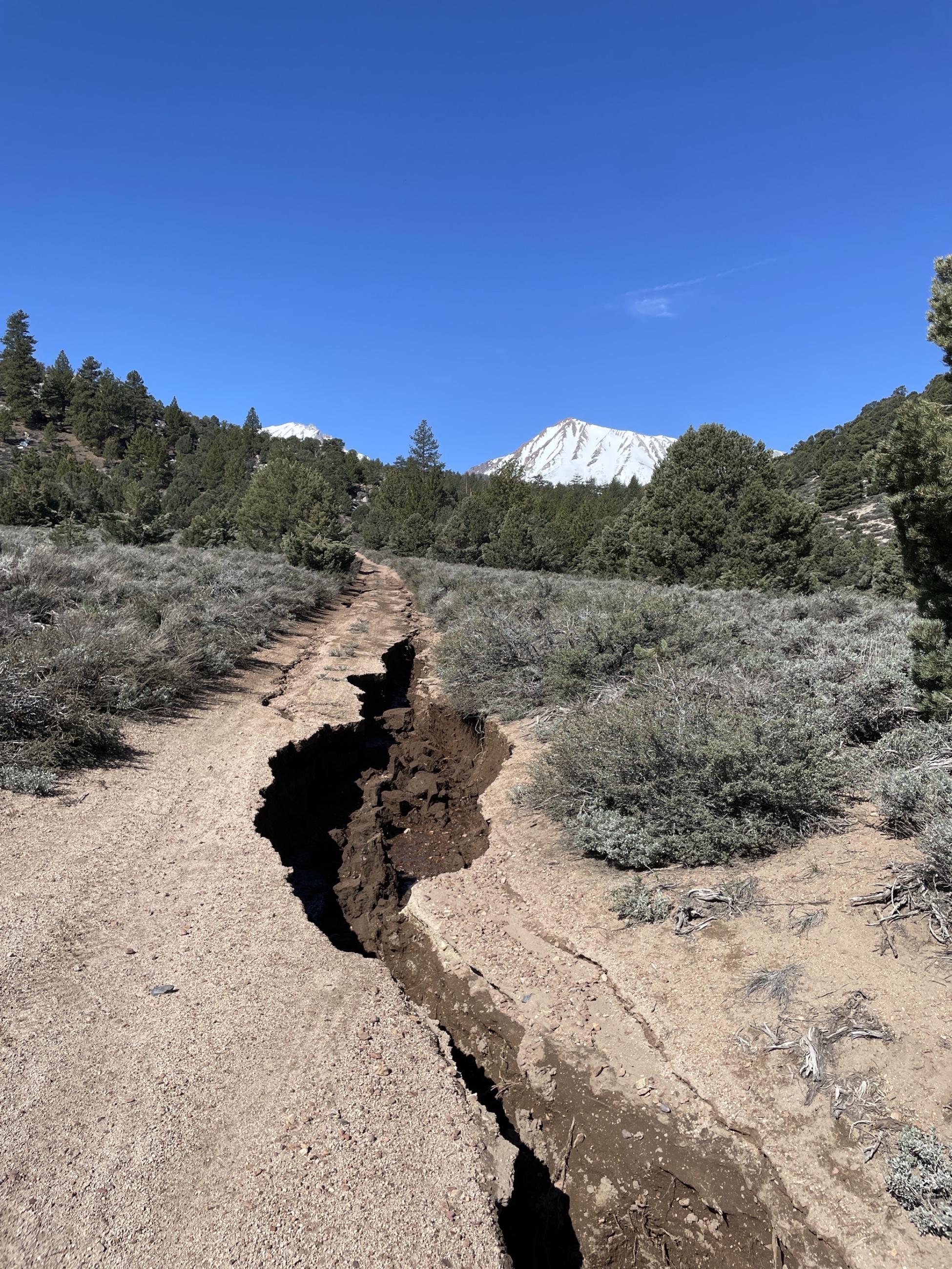 Image showing Gibbs Lake Trailhead Road Conditions Photo 9