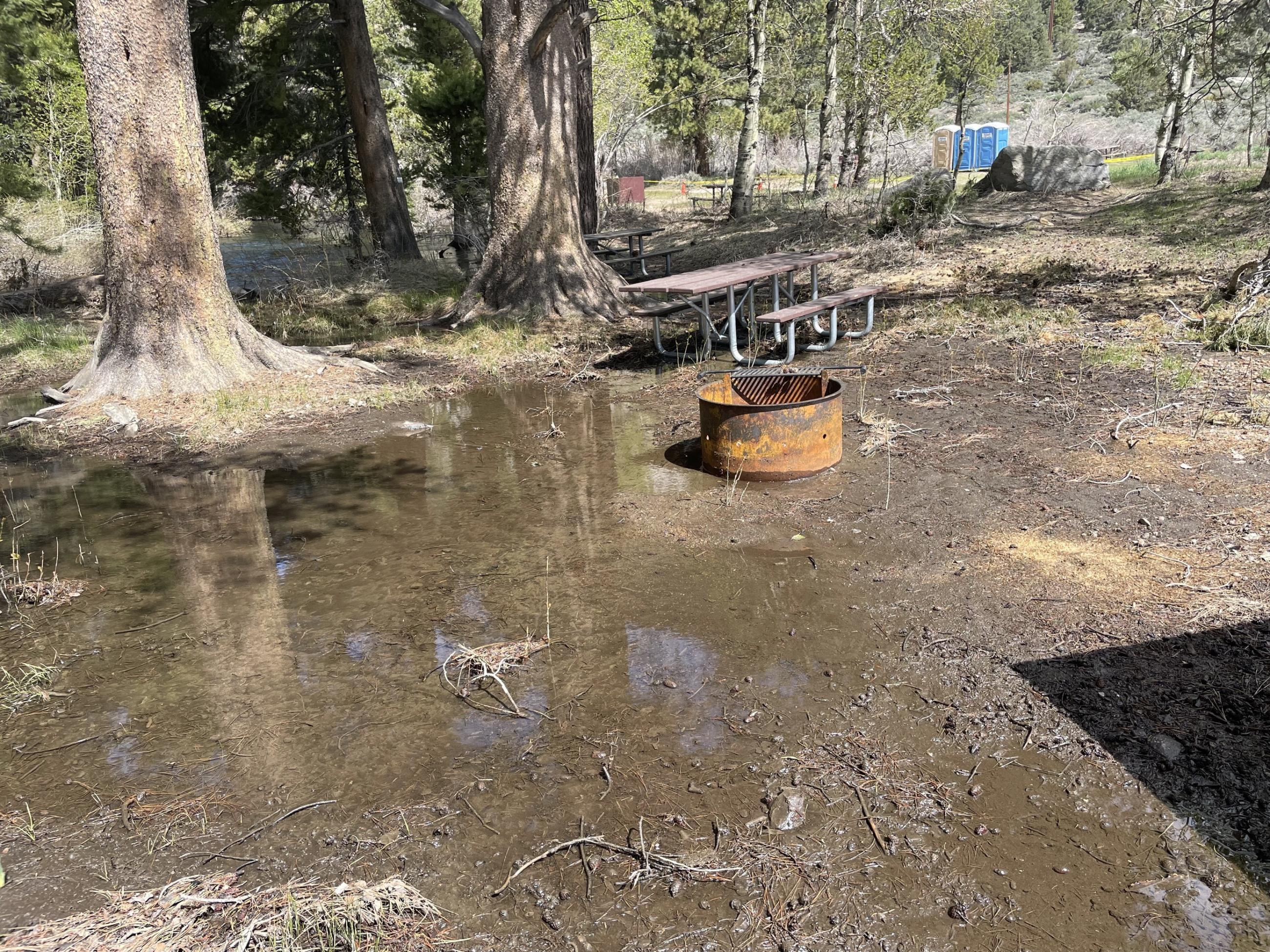 Image showing Flooding in camping site 8 of the Moraine Campground on the Mono Lake Ranger District