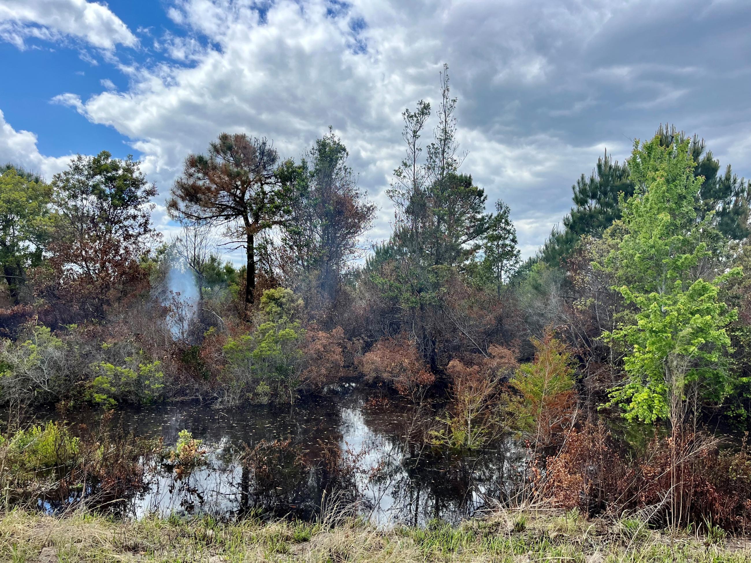 Flooding operations have raised the water table, but some smoldering areas still linger. Smoke is visible in this photo, just feet away from the water's edge. 