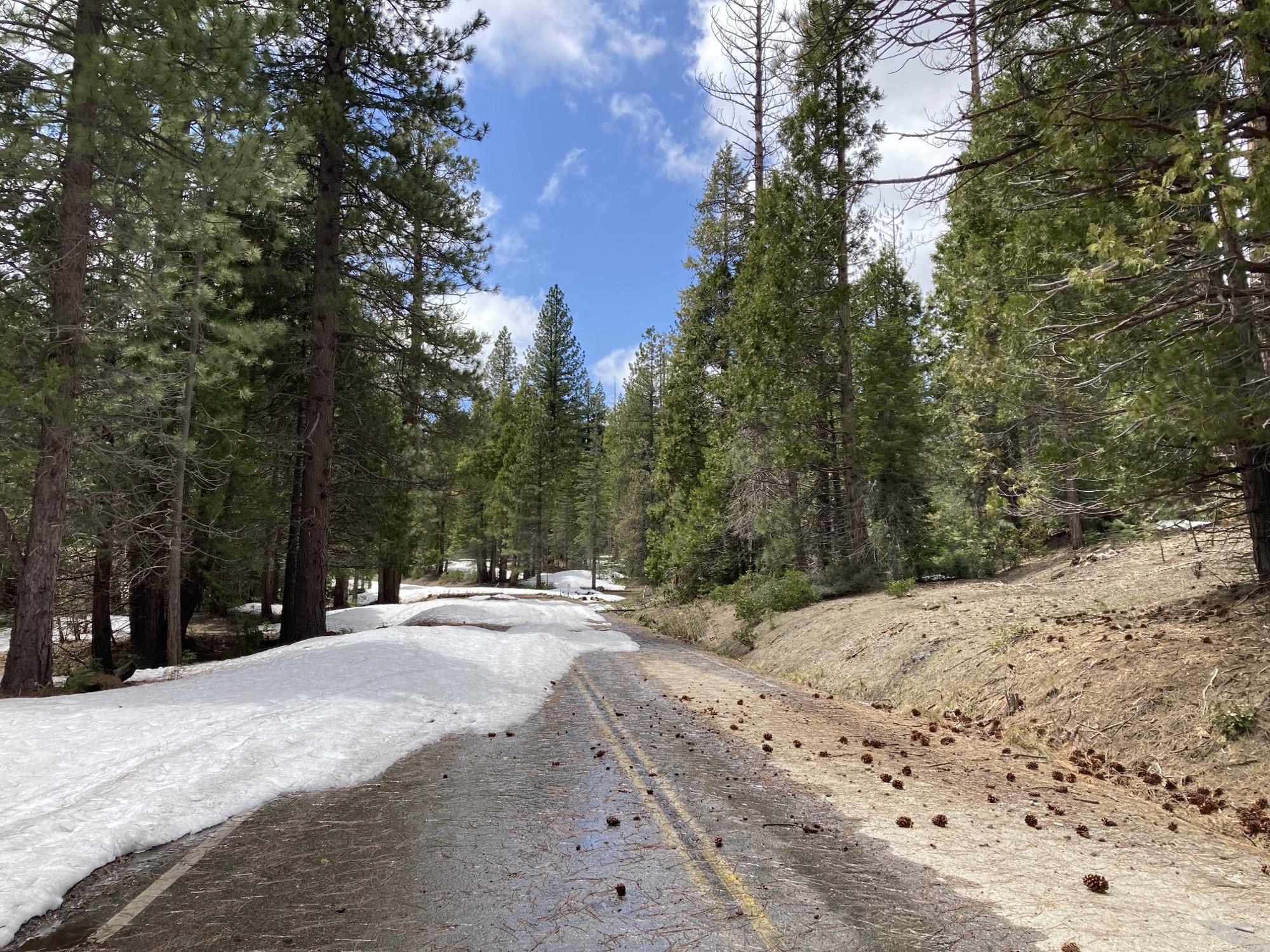 Forest Service Road Number 13S09 Tenmile Road near Bearskin Grove remains snow covered and impassable as of May 13, 2023.