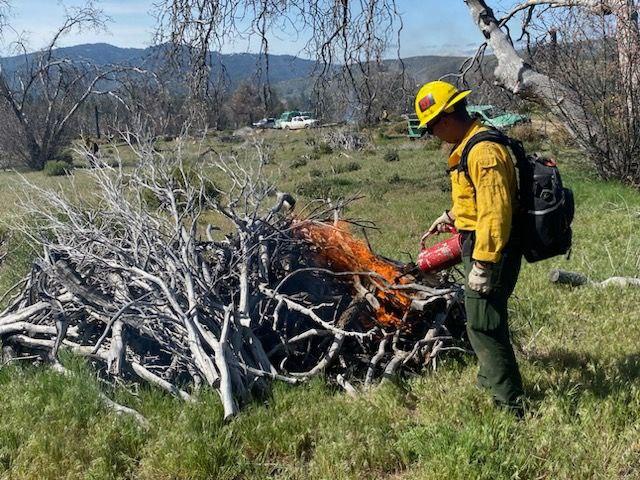 Firefighters ignite a burn pile on Cranston Reforestation Prescribed Burn 5/2/23