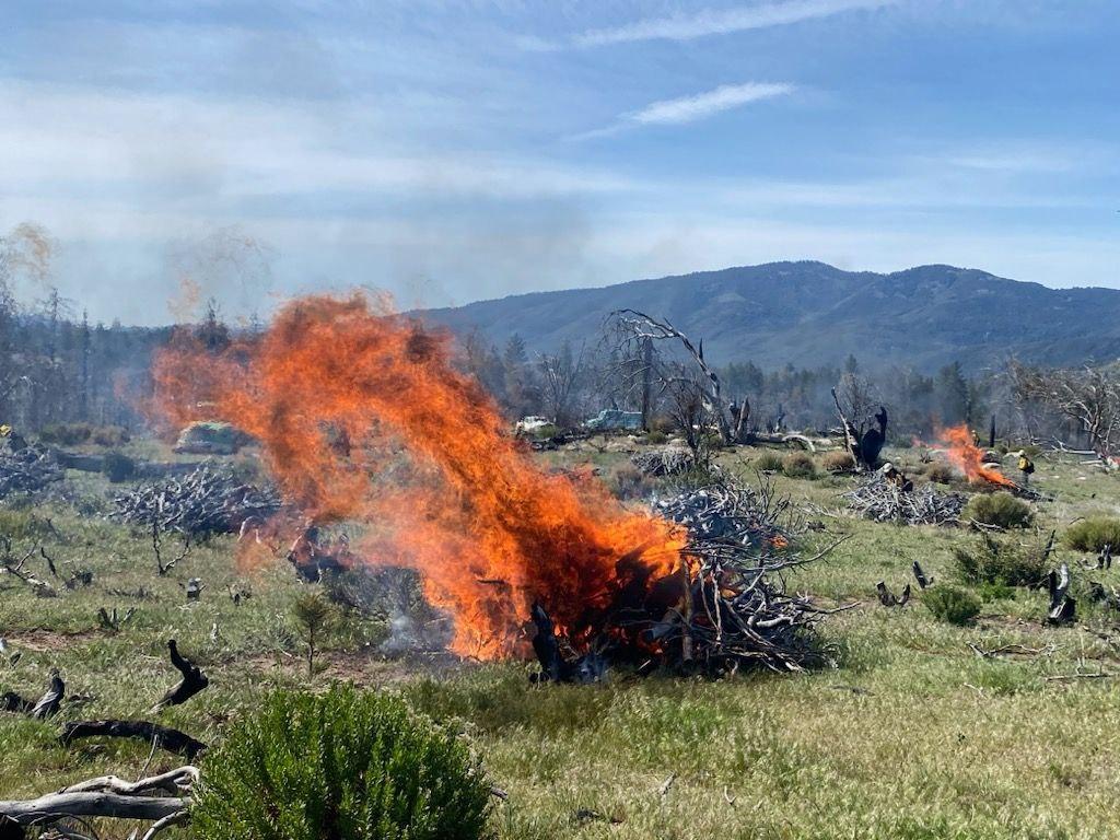 Fuels being consumed in one of the piles being burned on the Cranston Reforestation prescribed Burn 5/2/23.