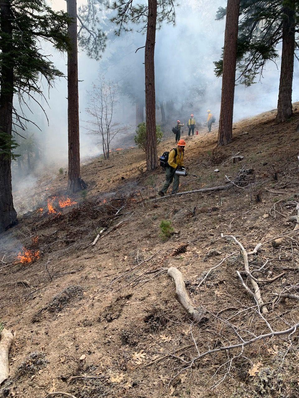 Firefighters monitor pile burns on the Angelus Oaks prescribed burn on 5/3/23.