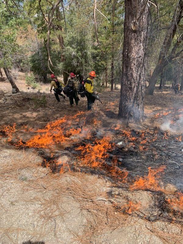 Fuels being consumed in one of the piles being burned on the Angelus Oaks prescribed burn 5/2/23.