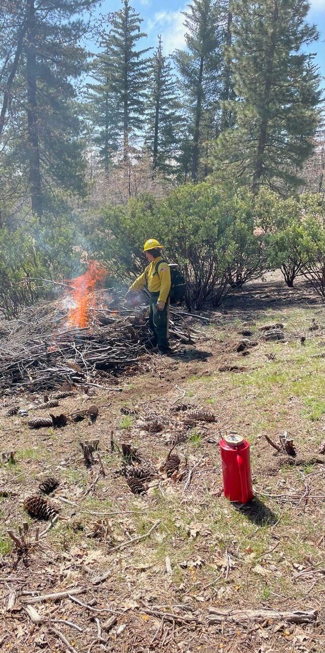 Firefighters ignite a burn pile on the Grass Valley Prescribed Burn 5/10/23