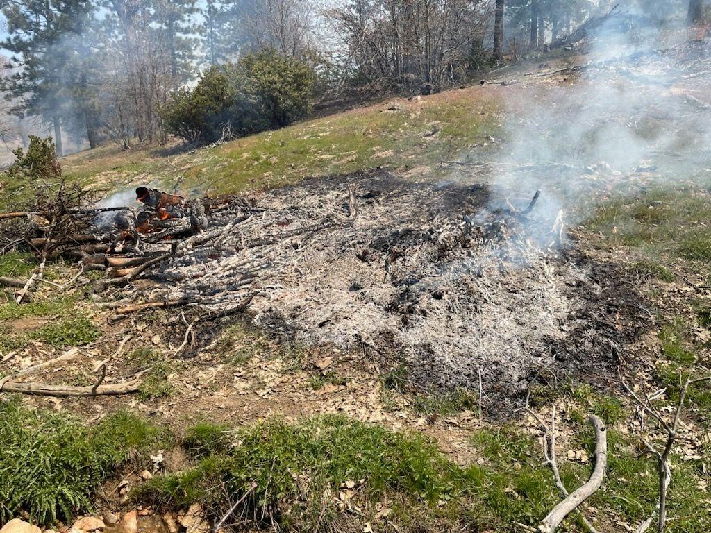 Consumed fuels on the Grass Valley Prescribed Burn 5/10/23.