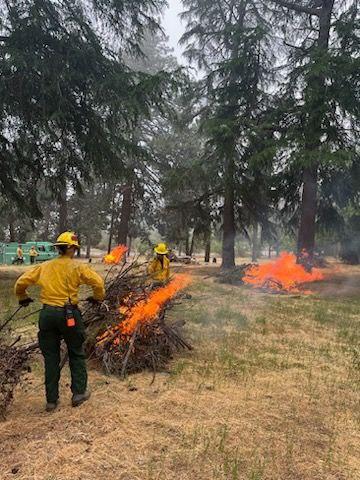Firefighters ignite a burn pile on Lytle Creek Prescribed burn 5/23/23.