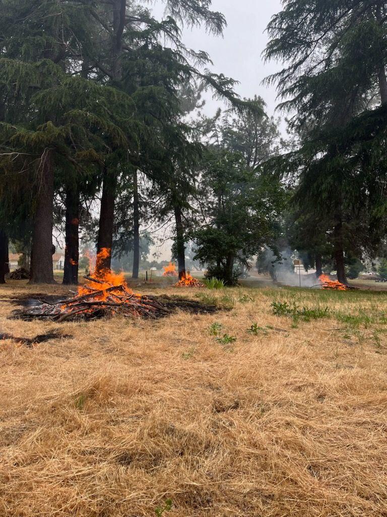 Fuels being consumed from one of the piles being burned on the Lytle Creek prescribed burn on 5/23/23.