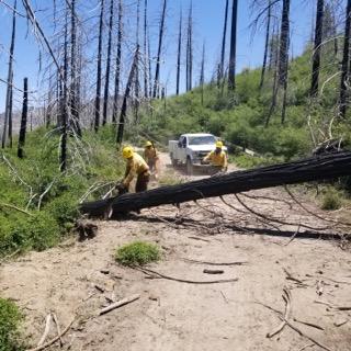 Fire Crews remove a fallen tree from a forest road on the Sequoia National Forest.