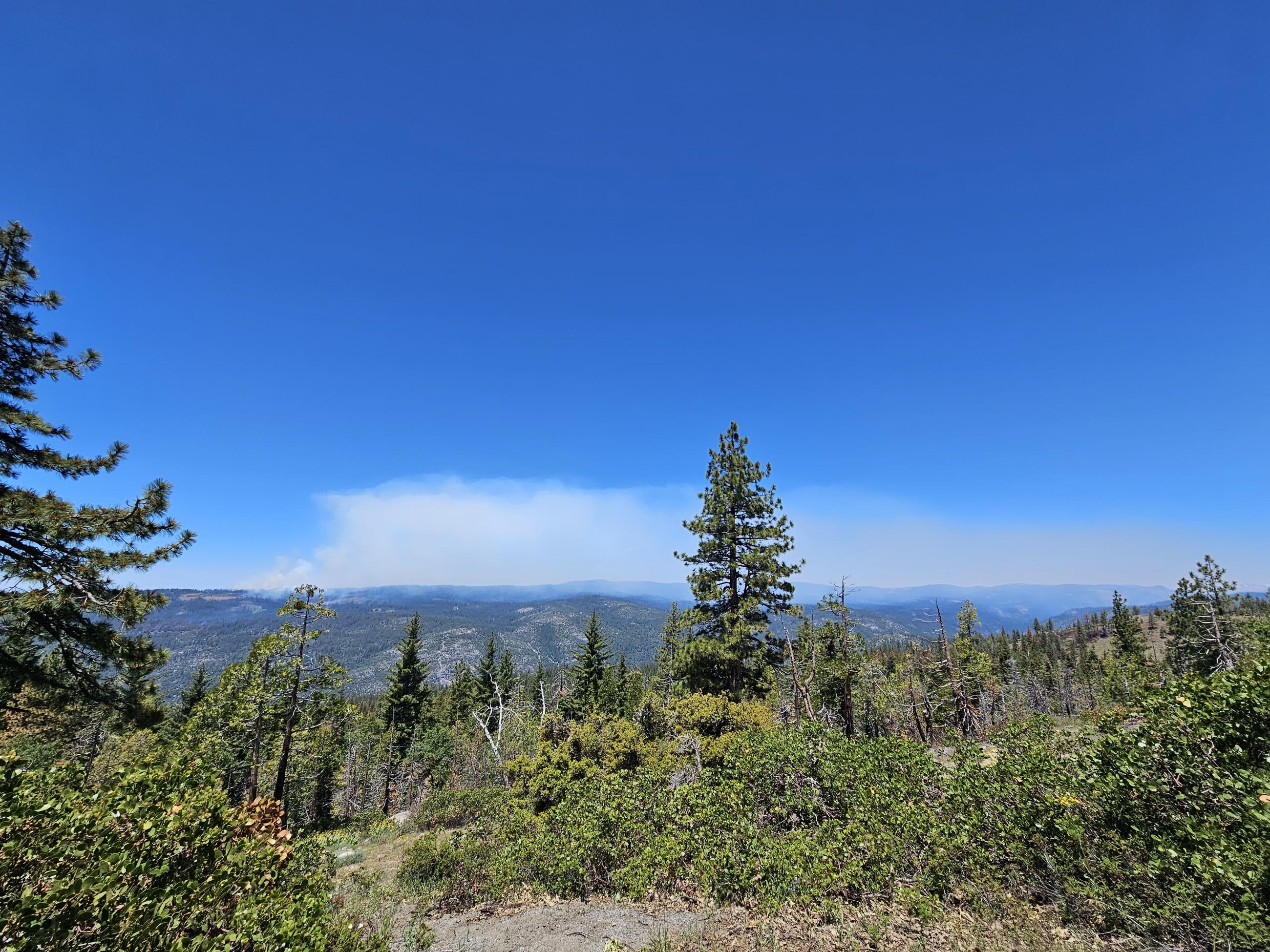 June 20th 2023, Dry Meadow prescribed fire smoke column from Beardsley Lake Vista Point. Burning units DM81, DM77 and DM 74