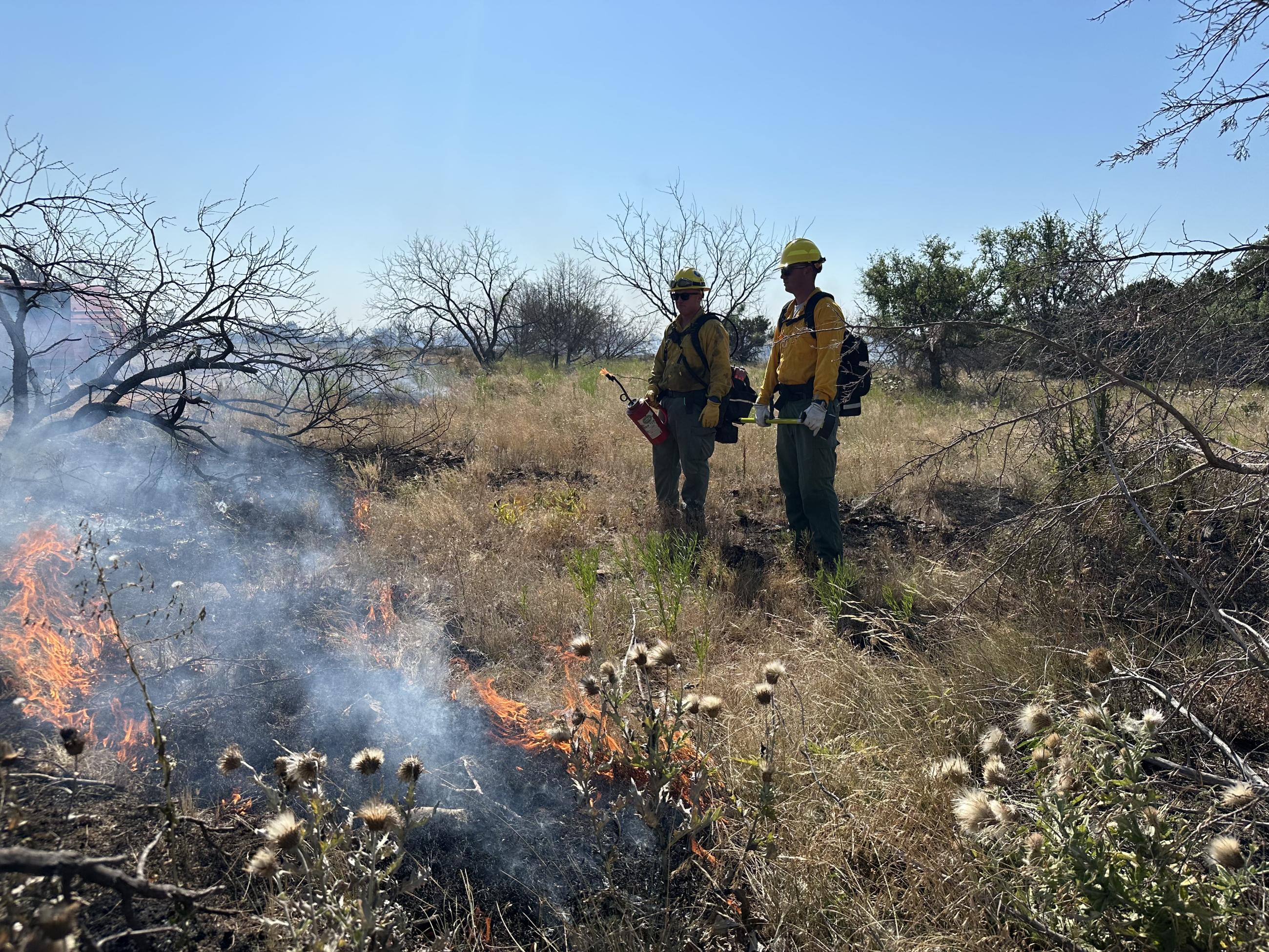 Two firefighters with a drip torch and handle tool watch a flame they just lit. They are burning the grass and brush between the fire edge and the containment line constructed