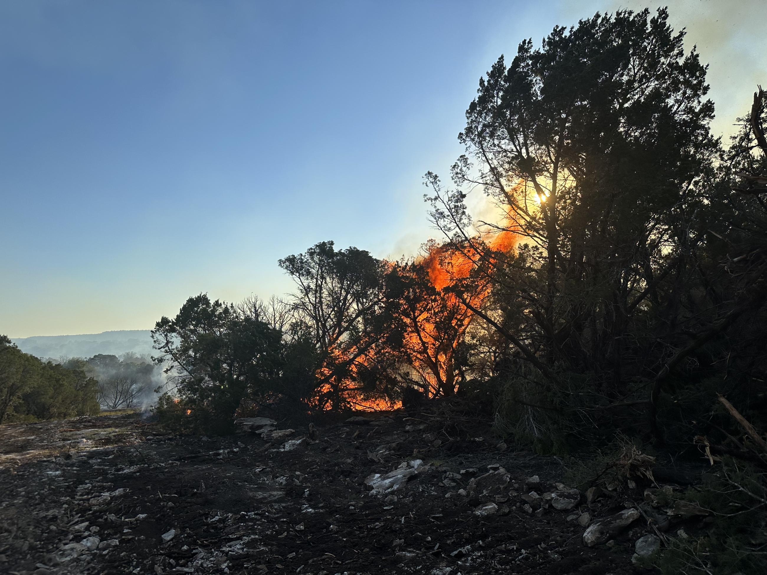 Thick juniper brush in the picture is actively burning and has a large red and orange flame reaching to the sky