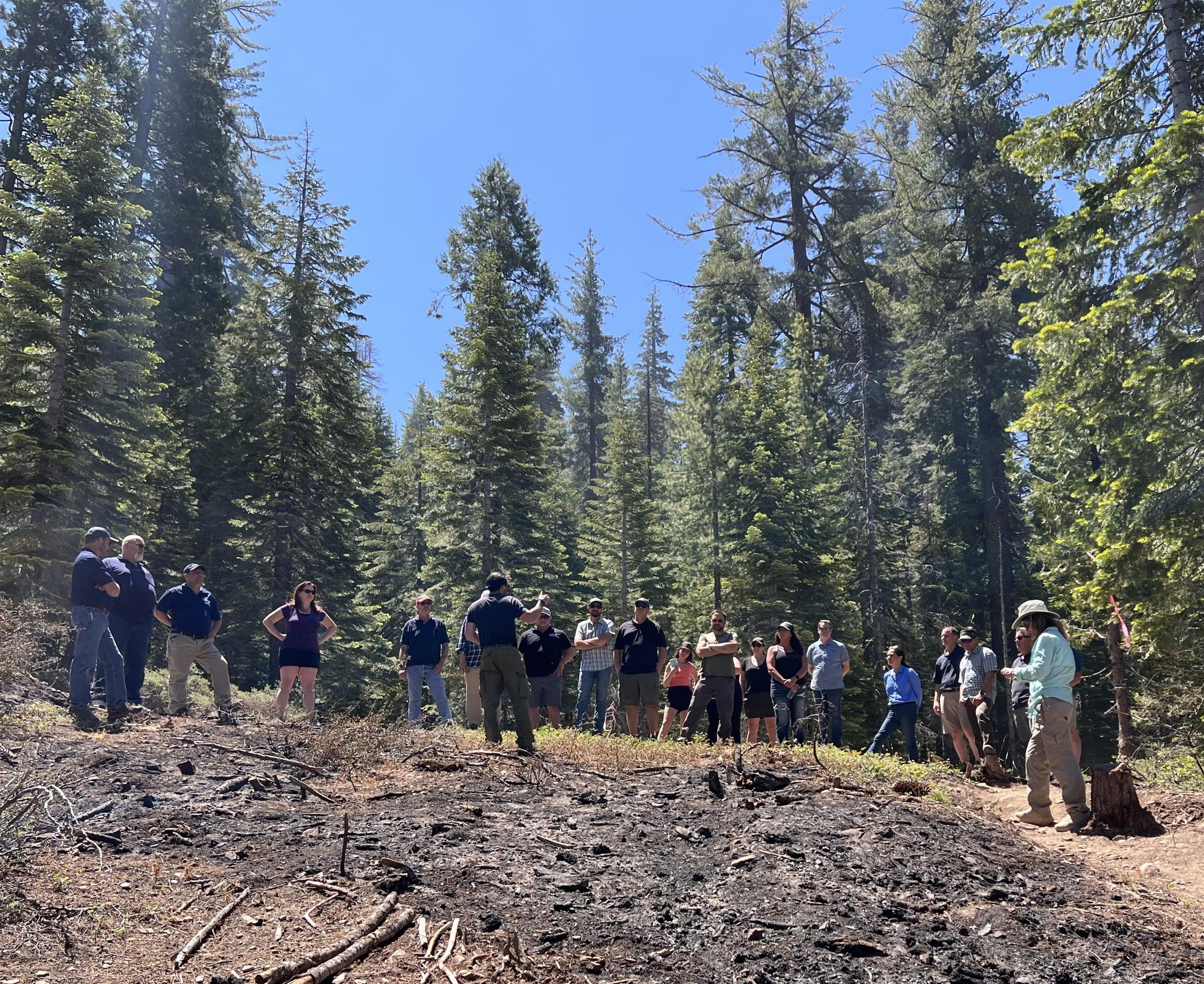 Placer County officials learn about RX planning and fire effects on the landscape