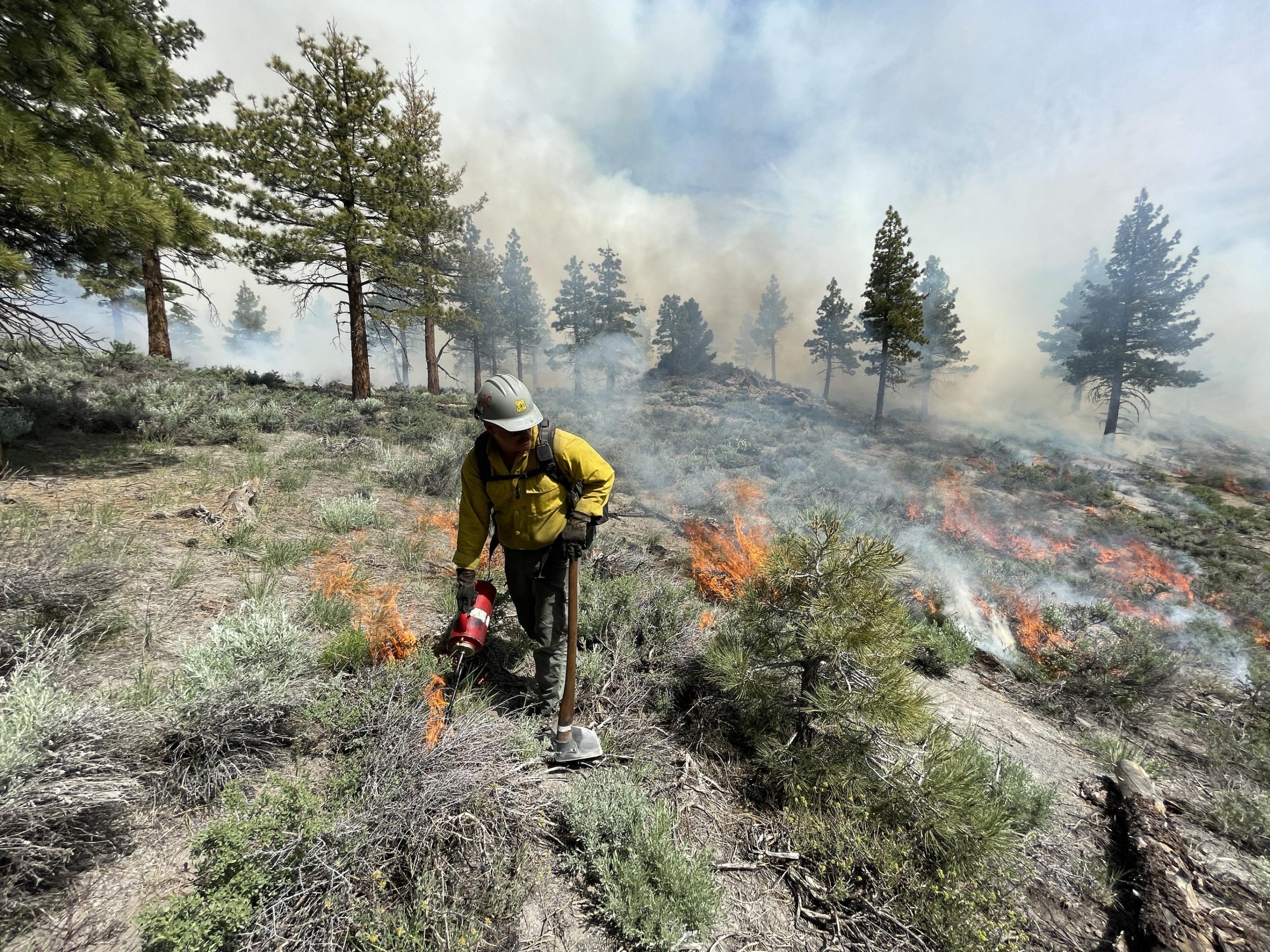 Image showing firefighters lighting Antelope Prescribed Burn