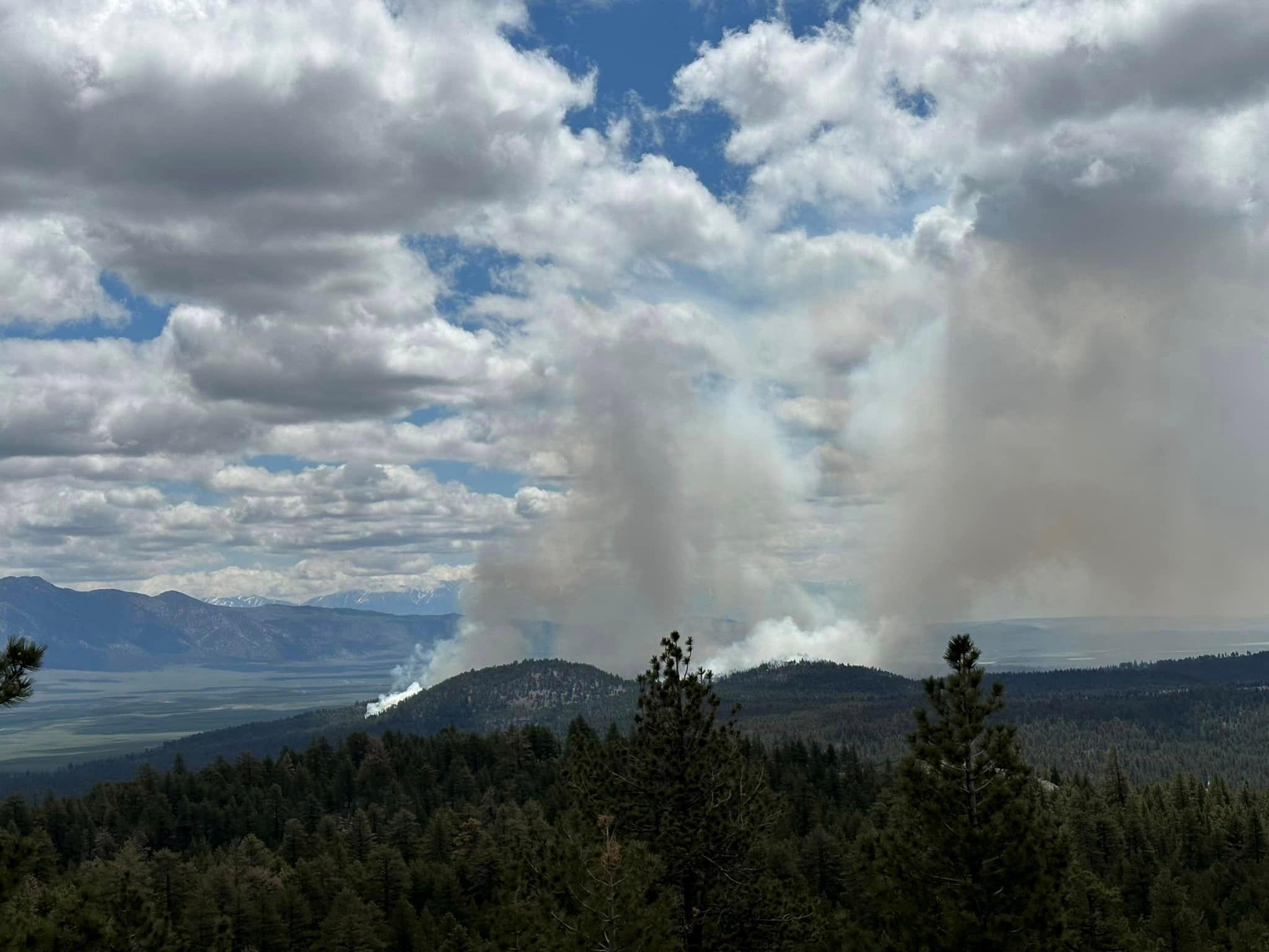 Image showing Smoke from the Antelope Prescribed Burn Project viewed from Bodie Hills