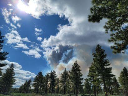 Image showing Smoke from the Antelope Prescribed Burn Project